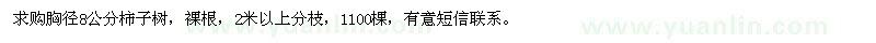 求購胸徑8公分柿子樹