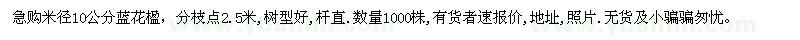 求購(gòu)米徑10公分藍(lán)花楹