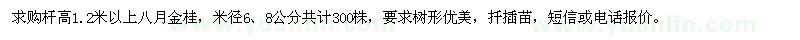 求購桿高1.2米以上八月金桂