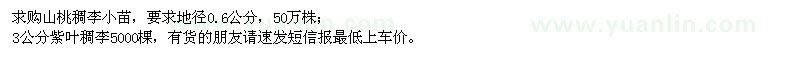 求購山桃稠李小苗、3公分紫葉稠李