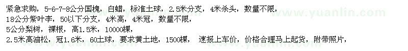 求購國槐、白蠟、紫葉李