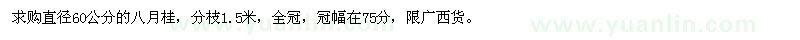 求購直徑60公分八月桂