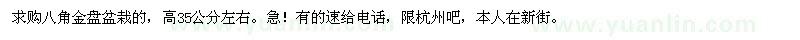 求購(gòu)高35公分左右八角金盤盆栽苗