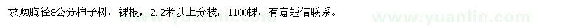 求購8公分柿子樹