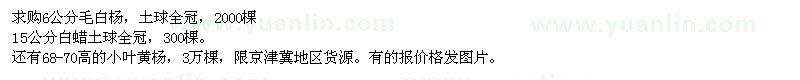 求購(gòu)毛白楊、白蠟、黃楊