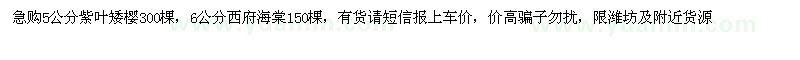 求購5公分紫葉矮櫻、6公分西府海棠