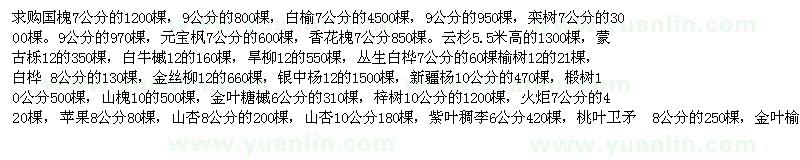 求購國槐、白榆、欒樹(shù)等