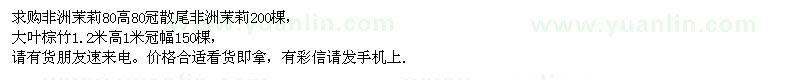 求購葉棕苗、非洲茉莉