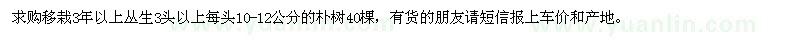 求購叢生3頭以上樸樹