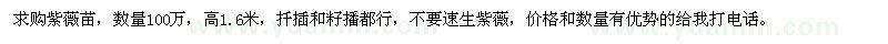 求購高1.6米紫薇苗