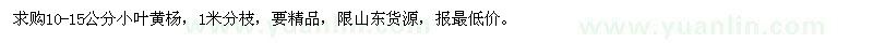 求購10-15公分小葉黃楊