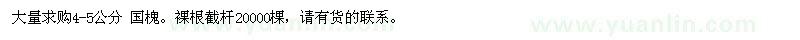 求購(gòu)4-5公分國(guó)槐