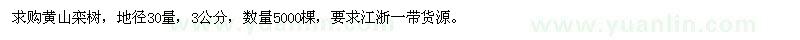 求購地徑30量3公分黃山欒樹苗
