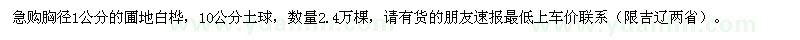 求購(gòu)胸徑1公分圃地白樺