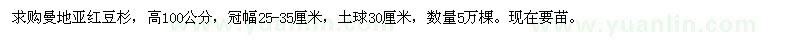 求購高100公分曼地亞紅豆杉