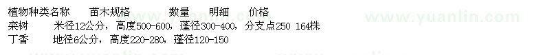 求購欒樹、丁香