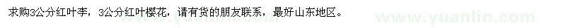 求購3公分紅葉李、紅葉櫻花
