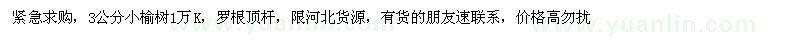 求購3公分小榆樹
