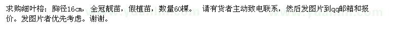 求購(gòu)16公分細(xì)葉榕