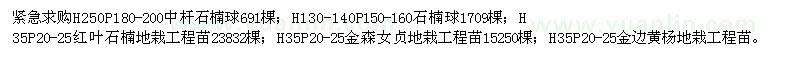 求購紅葉石楠、金森女貞、金邊黃楊
