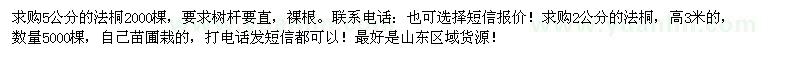 求購法桐