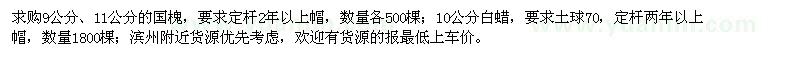 求購9、11公分國槐、10公分白蠟
