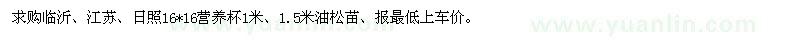 求購16*16營養(yǎng)杯1米、1.5米油松苗