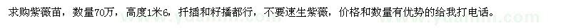 求購(gòu)高1.6米紫薇苗