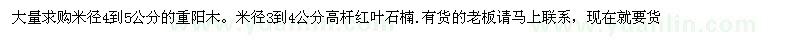 求購大量米徑4-5公分重陽木、米徑3-4公分高桿紅葉石楠