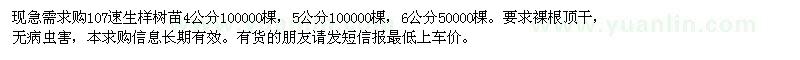 求購4、5、6公分107速生楊