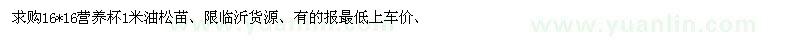 求購(gòu)1米油松苗營(yíng)養(yǎng)杯