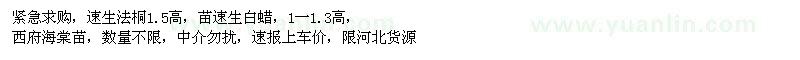 求購速生法桐苗、速生白蠟、西府海棠苗 