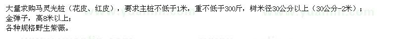 求購馬靈光樁、金彈子、野生紫薇