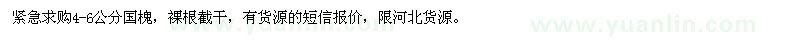 求購4-6公分國槐