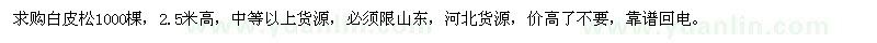 求購2.5米高白皮松