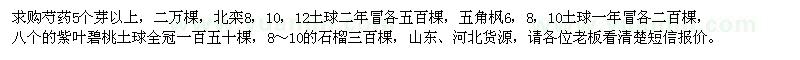 求購(gòu)芍藥、北欒、五角楓、紫葉碧桃、石榴