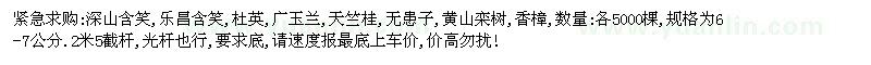 求購深山含笑、樂昌含笑、杜英