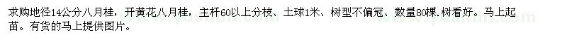 求購地徑14公分八月桂