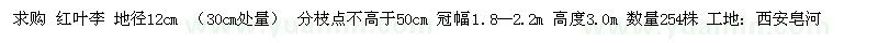 求購(gòu)12公分紅葉李