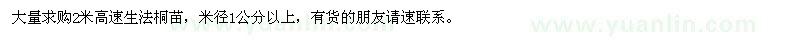 求購(gòu)高2米速生法桐苗