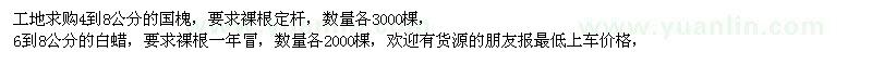 求購白蠟、國槐