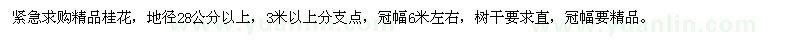 求購地徑28公分以上精品桂花
