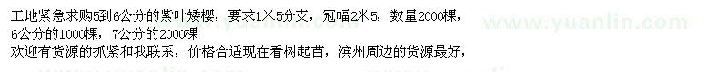 求購5-7公分紫葉矮櫻