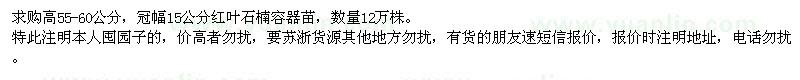 求購高55-60公分紅葉石楠