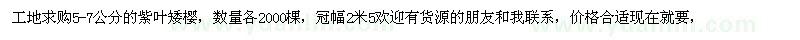 求購5-7公分紫葉矮櫻