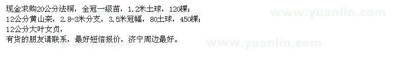 求購(gòu)法桐、黃山欒、大葉女貞