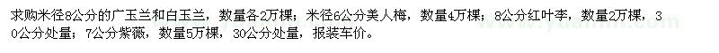 求購(gòu)廣玉蘭、白玉蘭、美人梅