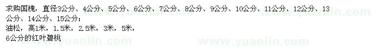 求購(gòu)國(guó)槐、油松、紅葉碧桃