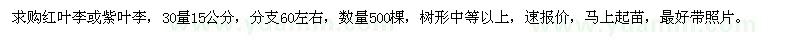 求購地徑15公分紅葉李