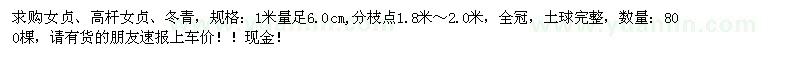 求購(gòu)女貞、高桿女貞、冬青